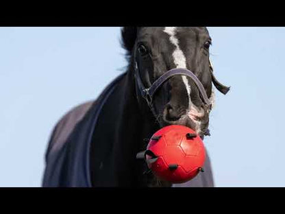 Excellent Horse - Maximus Fun Play Ball speelbal voederbal roze/blauw