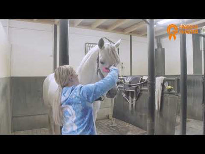 Paardenpraat - Grooming Brush Roze M