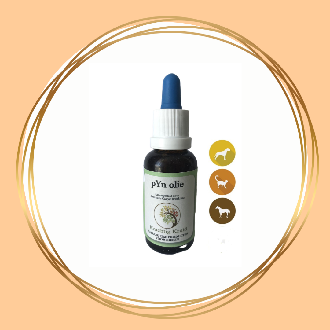 Krachtig Kruid | pYnolie
