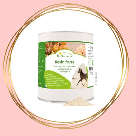 PerNaturam | Resin Forte (ondersteuning bij gewrichtsproblemen en stofwisseling)