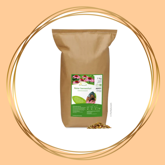 PerNaturam | Roter Sonnenhut (rode zonnehoed/echinacea)