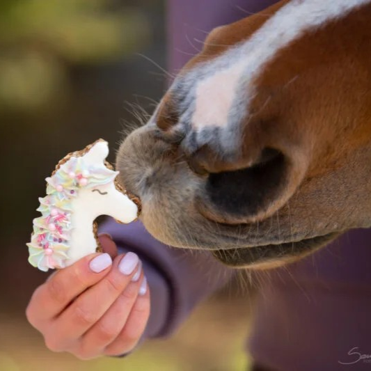 Konska Cukierenka - Luxus-Pferdekuchen Magisches Einhorn