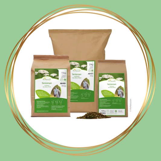 PerNaturam | Seniorsan (voor oudere paarden)