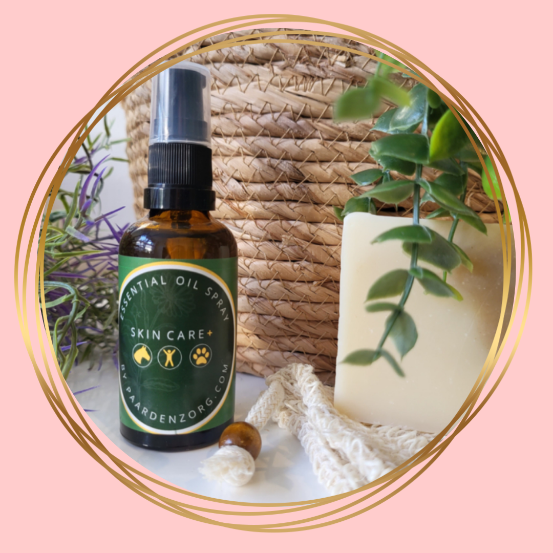 Paardenzorg | SkinDeal