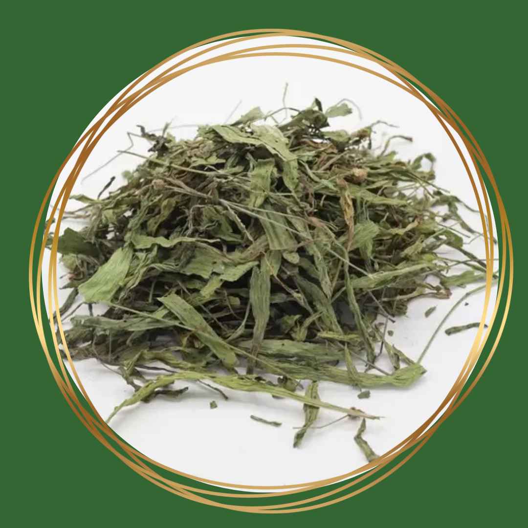 Herbimals | Smalle Weegbree (grof)