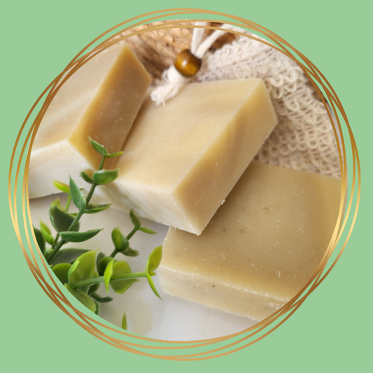 Paardenzorg | SoapDeal