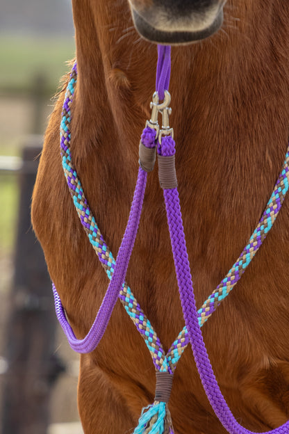Rope Halter Set Tundra