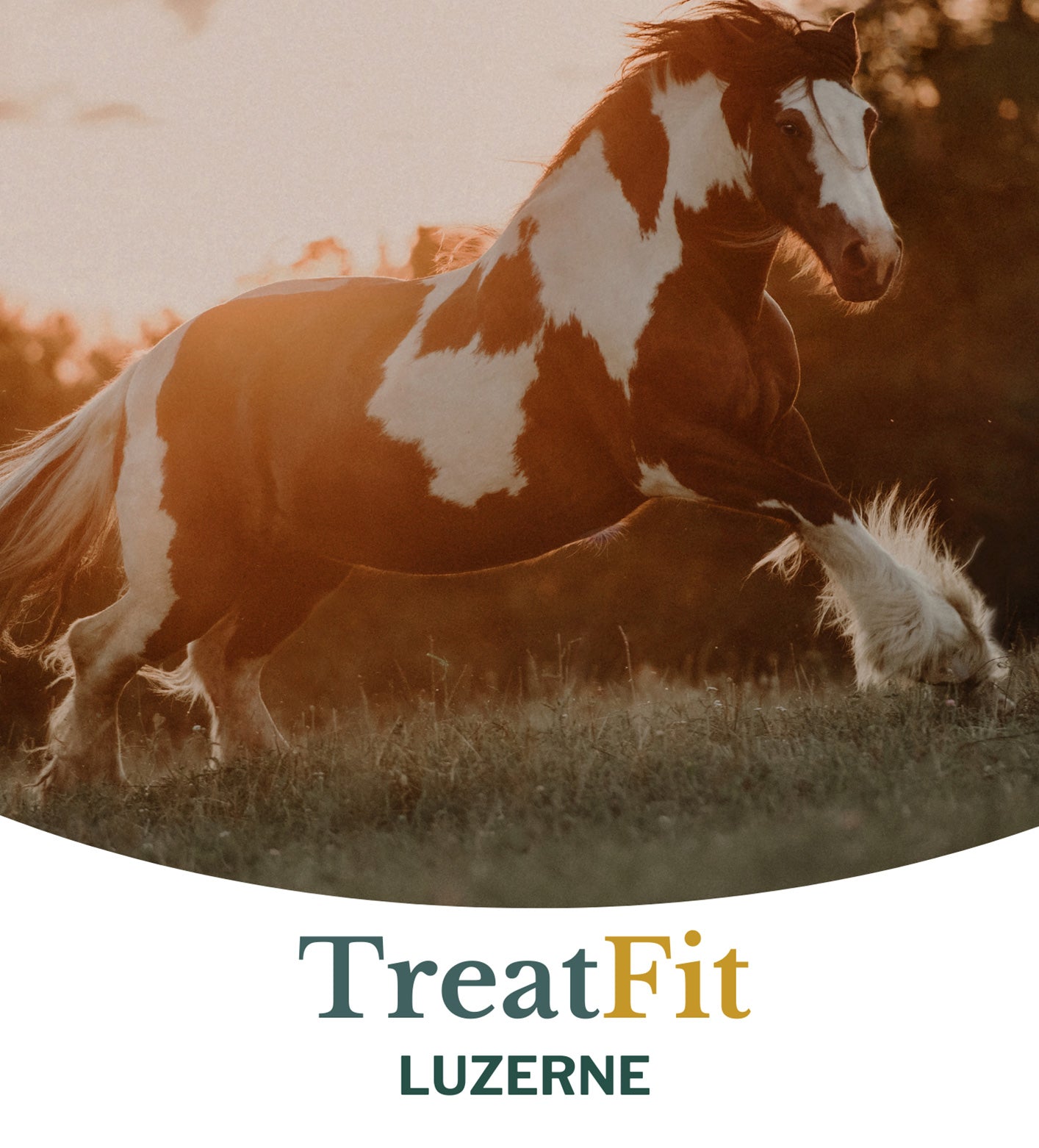 Metazoa | TreatFit Luzerne