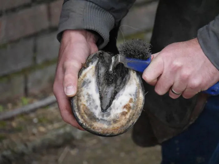 Unique-horn | Silver Hoof Sticks