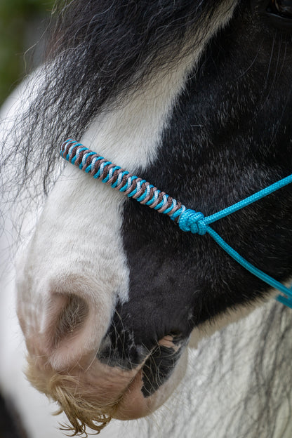 Rope Halter Vienna Noseband Ocean Blue, Copper, Baby Blue, and Brown