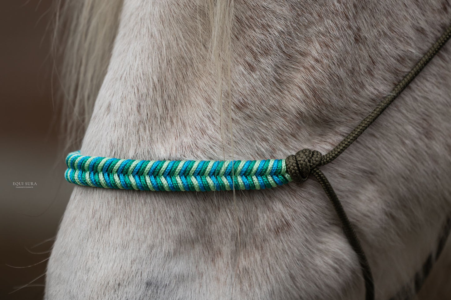 Myrthe's Horse Passion - Fishtail Rope Halter 2025-2026