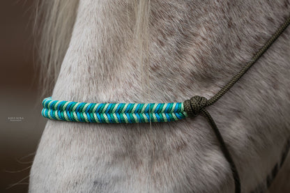 Myrthe's Paardenpassie - Tauhalfter Fischgrät 2025-2026