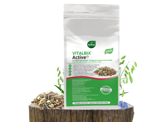 Vitalbix | Active + Muesli