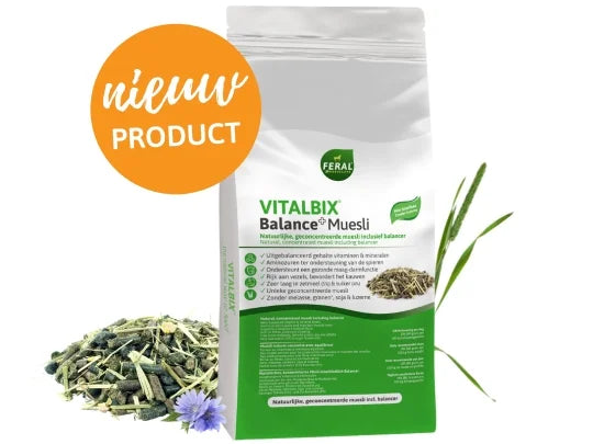 Vitalbix | Balance + Muesli