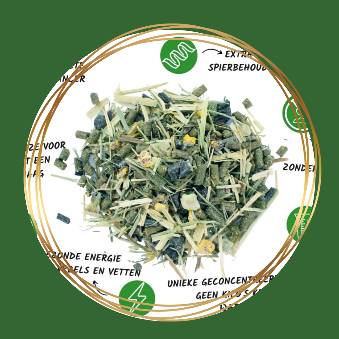 Vitalbix | Balance + Muesli