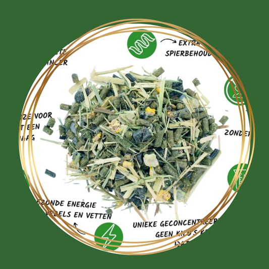 Vitalbix | Balance + Muesli