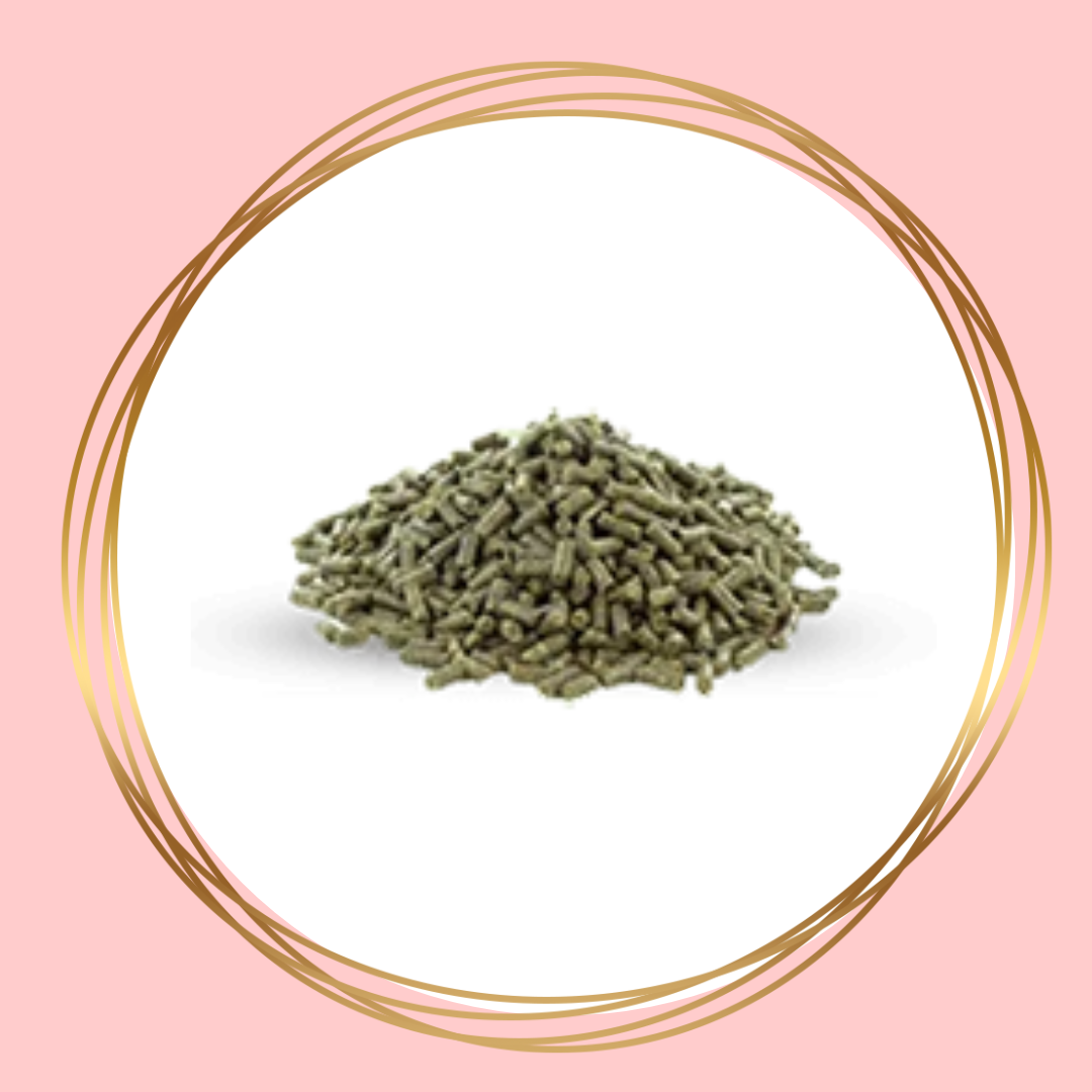 Vitalbix | Breed & Grow