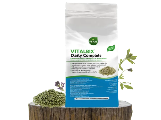Vitalbix | Daily Complete (Original)