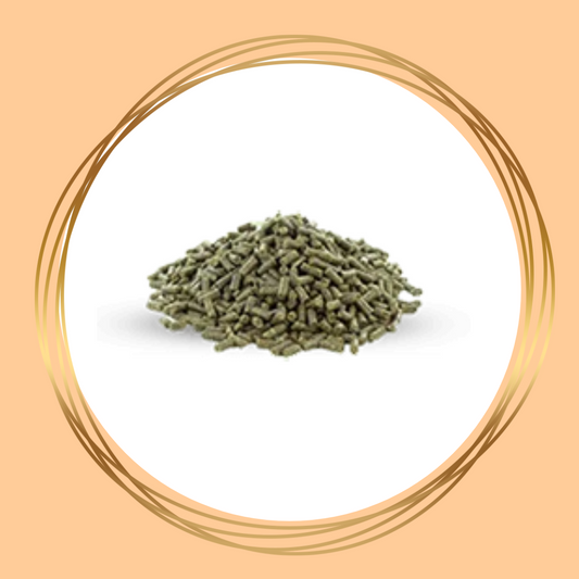 Vitalbix | Daily Complete (Original)