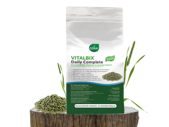 Vitalbix | Daily Complete Timothy
