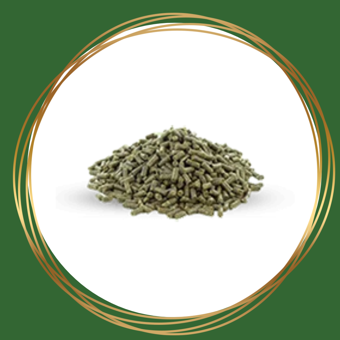 Vitalbix | Daily Complete Timothy