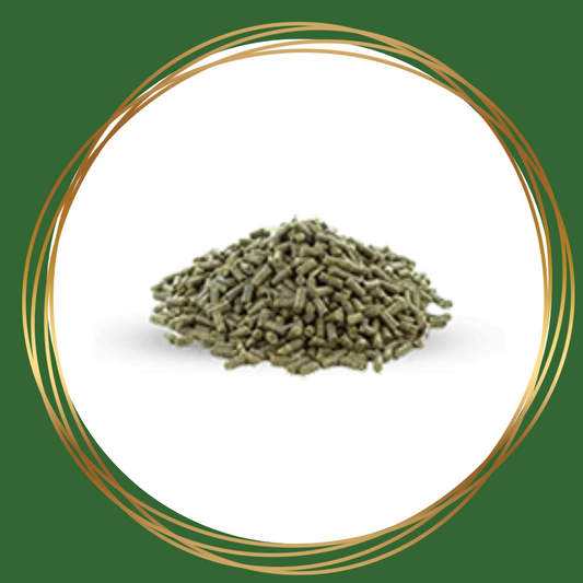 Vitalbix | Daily Complete Timothy