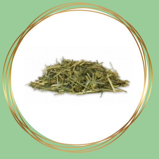 Vitalbix | Fiber-Mix+