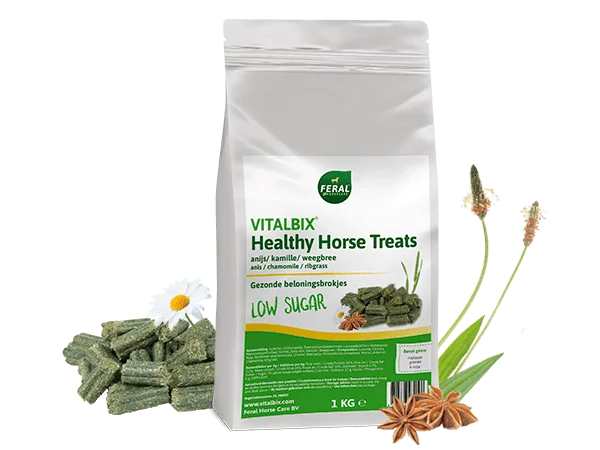 Vitalbix | Horse Treats (anise, chamomile, and linseed)