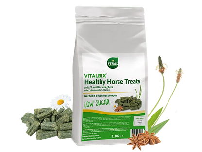 Vitalbix | HorseTreats (anice-camomilla-semi di lino)