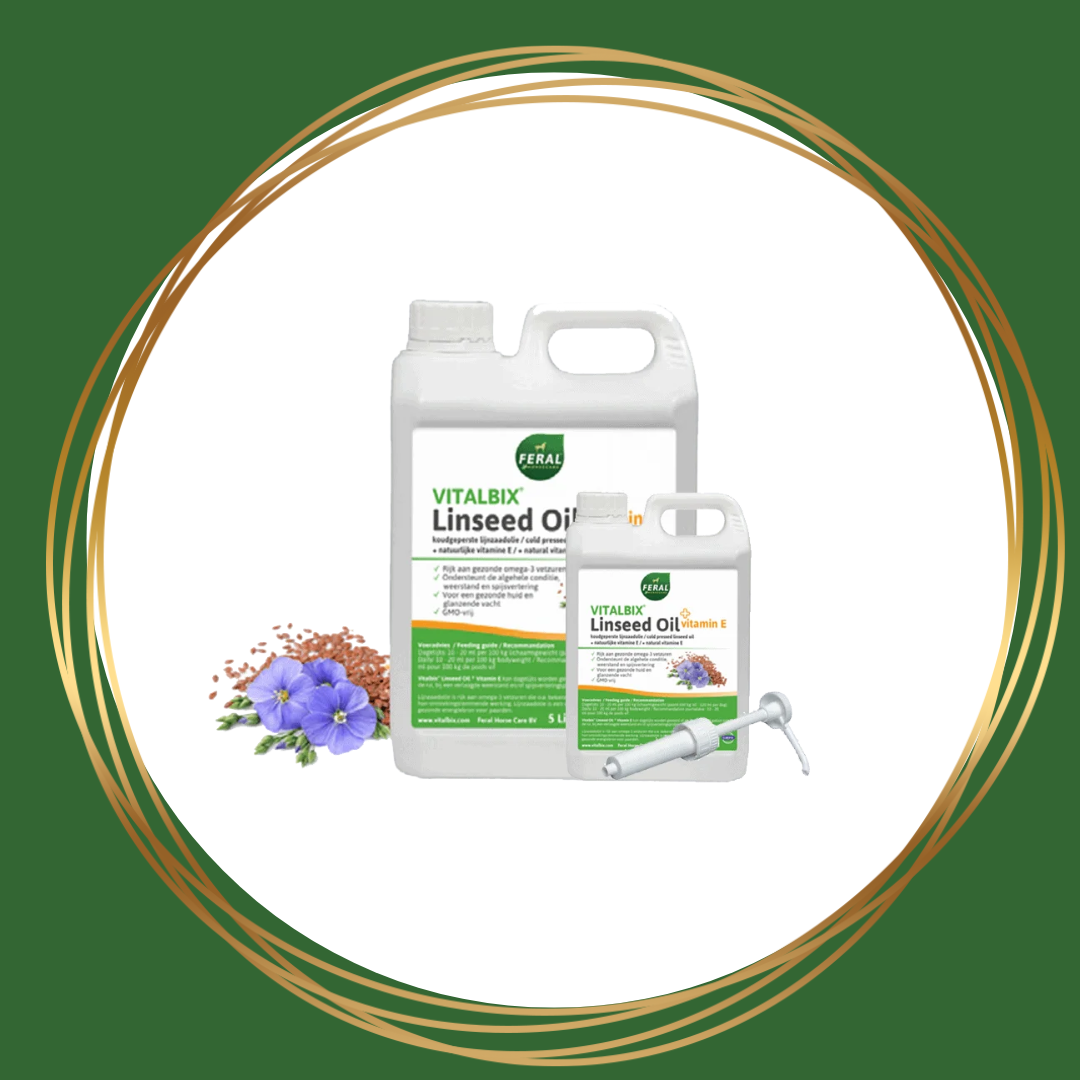 Vitalbix | Linseed Oil + Vitamine E