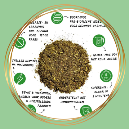 Vitalbix | NutriMash