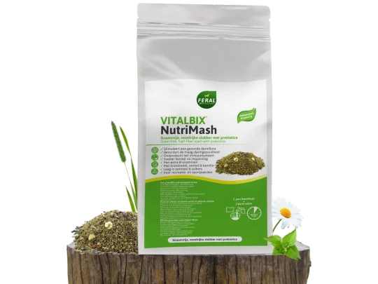 Vitalbix | NutriMash