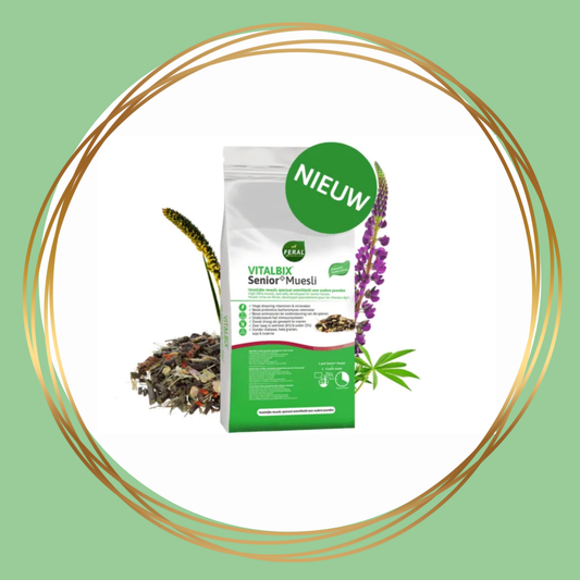 Vitalbix | Senior+ Muesli