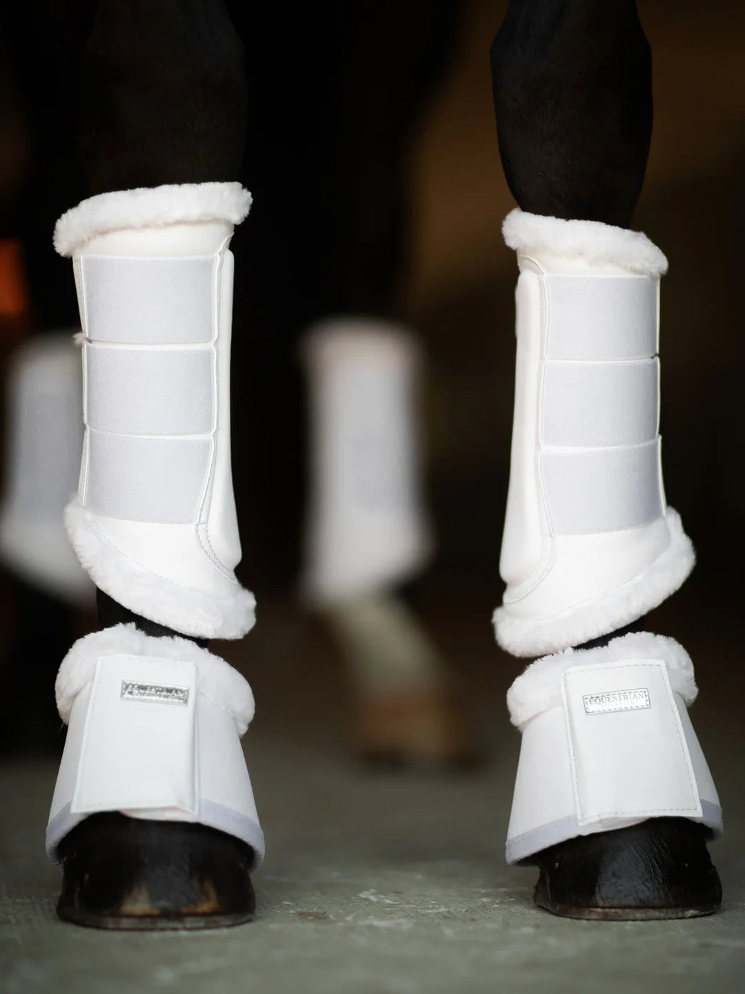 Equestrian Stockholm - Core Collection - Stivaletti da salto bianchi con campanellino Silver springschoenen