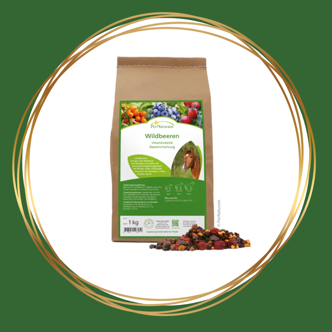 PerNaturam | Wildbeeren (wilde bessen)