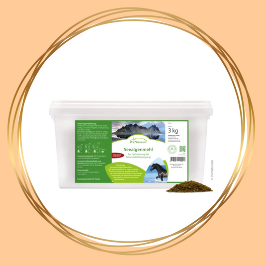 PerNaturam | Seealgenmehl (zeewierpoeder)