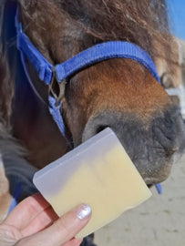 Paardenzorg | Summer Care Soapbar